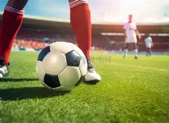 战报,山东高速女,篮客场,百姓彩票,彩票投注,彩票分析,在线购彩,安全彩票